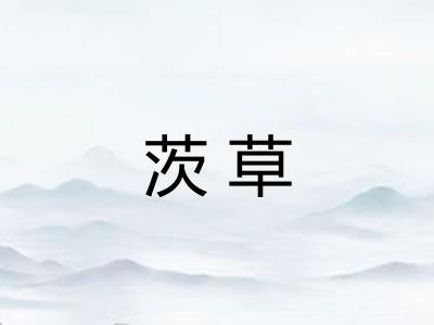 茨草