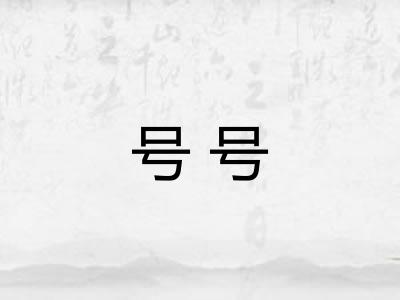 号号