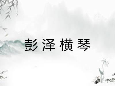 彭泽横琴