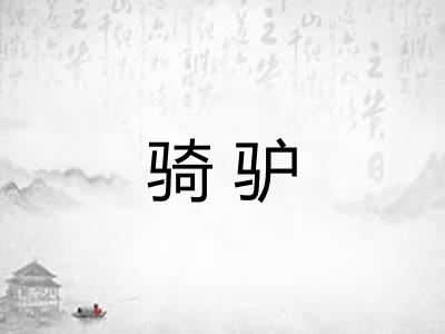 骑驴
