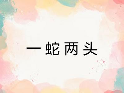 一蛇两头