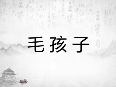 毛孩子