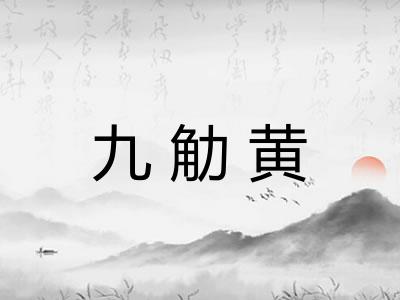 九觔黄
