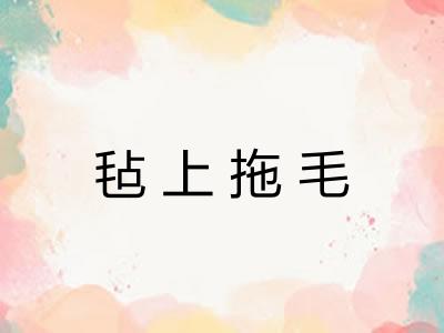 毡上拖毛