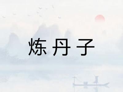 炼丹子
