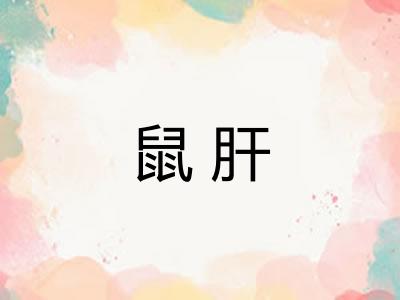 鼠肝