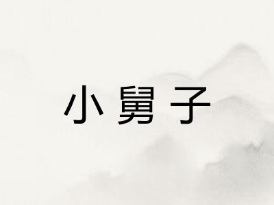 小舅子