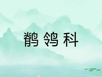 鹡鸰科
