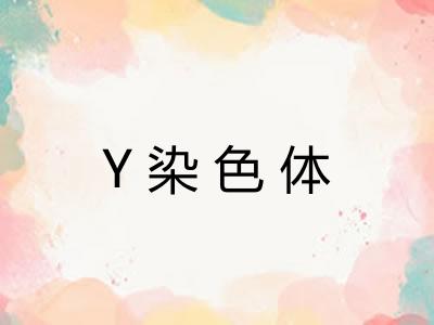 Y染色体