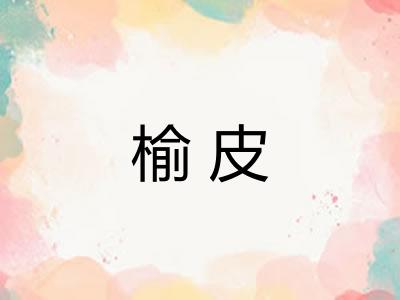 榆皮
