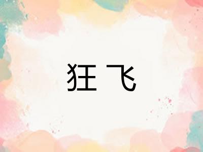 狂飞
