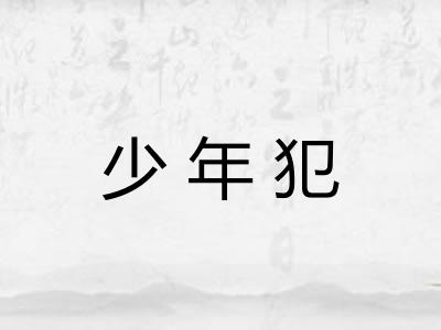 少年犯