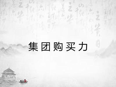 集团购买力