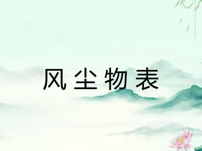 风尘物表