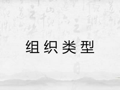 组织类型