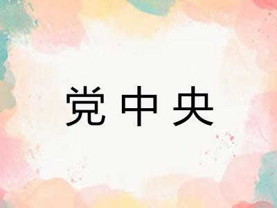 党中央