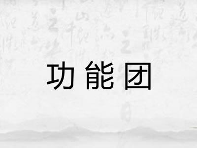 功能团