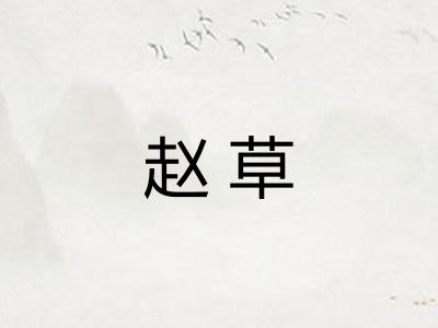 赵草