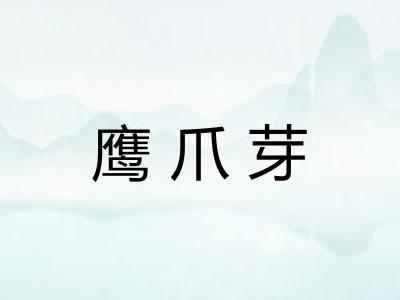 鹰爪芽