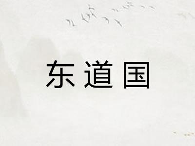 东道国