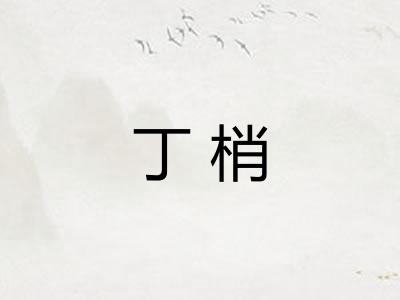 丁梢