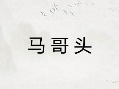 马哥头