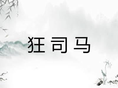 狂司马