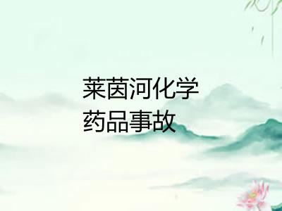 莱茵河化学药品事故