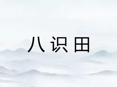 八识田