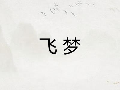 飞梦
