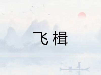 飞楫
