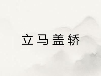 立马盖轿