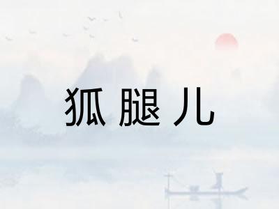 狐腿儿