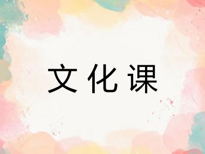 文化课