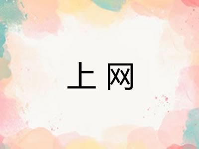 上网