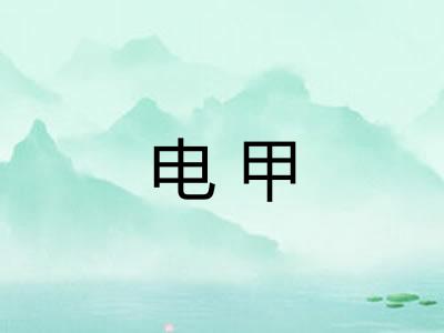 电甲