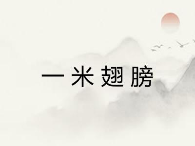 一米翅膀