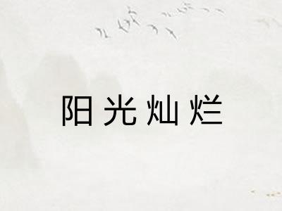 阳光灿烂