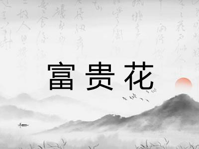 富贵花