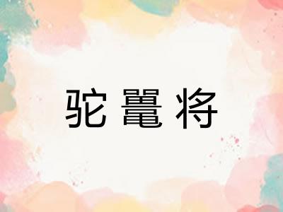驼鼍将