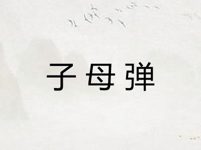 子母弹