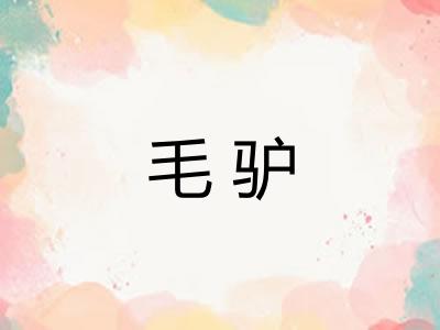 毛驴
