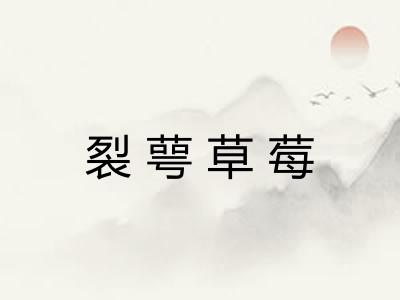 裂萼草莓