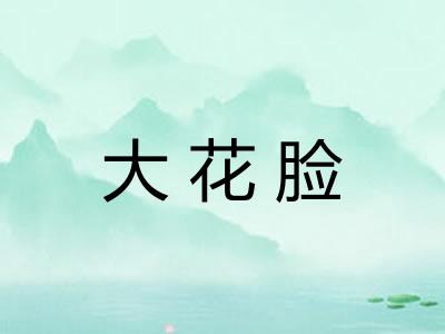 大花脸