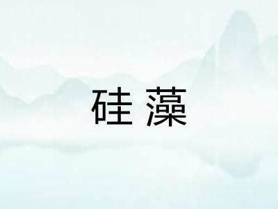 硅藻