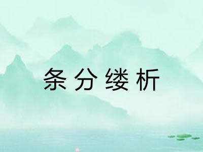 条分缕析