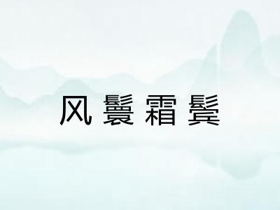 风鬟霜鬓