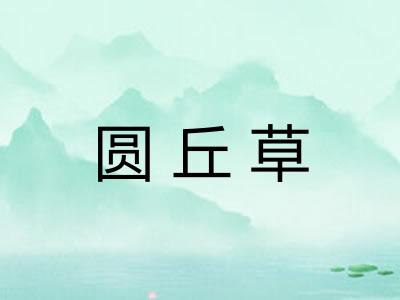 圆丘草