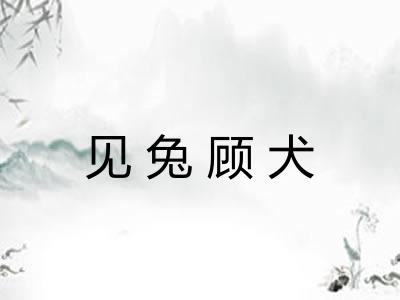 见兔顾犬