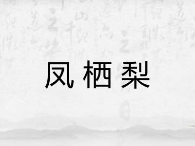 凤栖梨